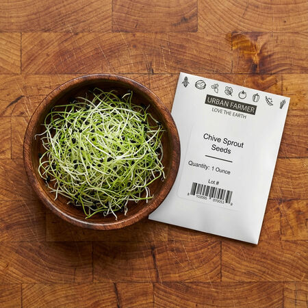 Chive, Sprout Seeds - 1 Ounce image number null